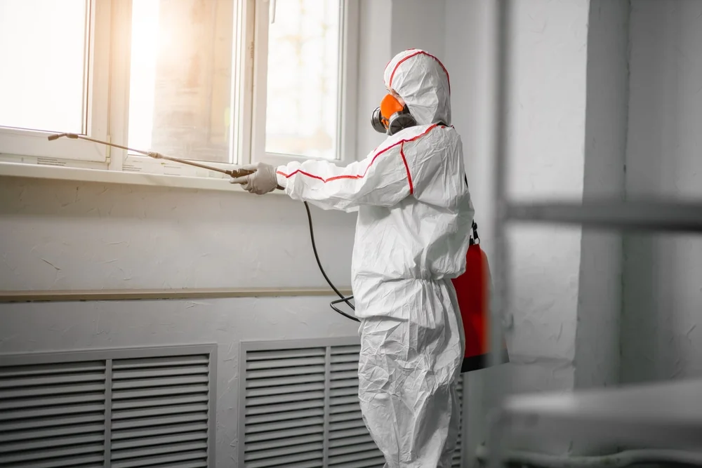 Professional mold remediation services in Warren, NJ